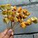 Cooksnap dari Ramita Ari Wandira untuk resep Sate Tahu bumbu kacang