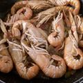 El cooksnap de Enedina Fernandez cuando hizo Cigalas en salsa.
