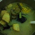 Cooksnap dari lanykusnadi untuk resep Sayur lodeh terong,labu Siam+ tahu