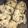 Cooksnap dari OXAbake untuk resep Dimsum Ayam
