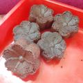 Cooksnap dari Suherni Suherni untuk resep Brownis kukus tanpa dcc