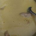 Cooksnap dari Architeni untuk resep Opor Ayam Bumbu Kuning