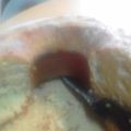 El cooksnap de Annabella costa cuando hizo Bizcochuelo tipo Budín con chip de chocolate.