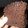 El cooksnap de Ro Isoardi cuando hizo Budín húmedo de cacao amargo.