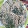 Cooksnap dari @d14r untuk resep Keripik Bayam