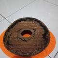 Cooksnap dari Sri Wahyuni untuk resep Bolu panggang ketan hitam