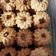 Cooksnap dari Flow untuk resep Kue Semprit Garut/Larut