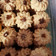 Cooksnap dari Flow untuk resep Kue Semprit Garut/Larut