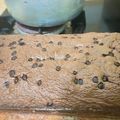 Cooksnap dari Evi Situmorang untuk resep Brownies Putih Telur