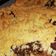 Cooksnap de Amandine Catherine sur la recette Crumble pomme / raisin