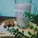 Cooksnap dari Arshiya Kitchen untuk resep Susu Jahe