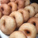 Cooksnap dari rachmawks untuk resep Donat Kentang (Tepung serbaguna, empuk👌)
