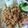 Cooksnap dari Rosnawati untuk resep Nasi goreng pete teri