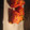 El cooksnap de Fatimilla cuando hizo Pimientos rellenos.