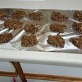 BKL070123's cooksnap of when they made No bake cookies.