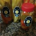 El cooksnap de danielbocacampeon@gmail.com cuando hizo Vizcacha en escabeche.