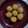 Riya Tomar 's cooksnap of when they made Till Mawa laddu.