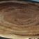  Chef Richa pathak. का कुकस्नैप जब उन्होंने डोसा (Dosa recipe in hindi) बनाया था।