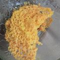Cooksnap dari Yessy Aryanti untuk resep Ayam Goreng Kremes