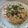 Sneha Patel's cooksnap of when they made ઉત્તપા (Uttapa Recipe In Gujarati).