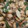 Cooksnap dari D_han untuk resep Tumis kulit ayam pedas cabe ijo