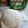 Cooksnap de Zest' de Flow sur la recette Pâte à pizza maison