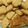 El cooksnap de vsaraleguy@gmail.com cuando hizo Scones de queso súper fáciles.