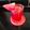 Ankita shrivastav's cooksnap of when they made Water Melon Juice.