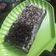 Cooksnap dari indah untuk resep Chocolate Buttercream Topping/Frosting/Filling