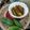 ÝTumpa Bose's cooksnap of when they made পটলের ডালনা(potoler dalnarecipe in Bengali).