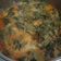 Cooksnap dari Novi Kirana untuk resep Gulai Pucuk Labu