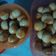 Cooksnap dari feby carla untuk resep Nastar Crunchy