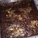 Cooksnap dari Diah Pohan untuk resep Peanut Butter Brownies