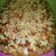 Cooksnap dari Herlena untuk resep Pizza Happycall Empuk Praktis