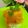 Cooksnap dari Pujiati_Aden untuk resep Omelette Katsu