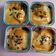 Cooksnap dari Kristina Nova untuk resep Salmon Mentai Rice