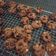 Cooksnap dari ratna ratna untuk resep Famous Amos Macadamia Chocolate Chip Cookies