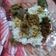 Cooksnap dari qoriah untuk resep Rendang daging sapi