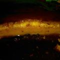 El cooksnap de ITATÍ SABORES cuando hizo Flan de huevo casero.
