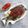 Cooksnap dari Happy Endahsa (Happy End) untuk resep Ikan Bakar || Pesce Grigliata alla Indonesiana