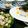 momoppo's cooksnap of when they made デビルドエッグ＝簡単卵料理パーティに.