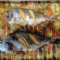 El cooksnap de Andreas cuando hizo 🐡🐡Dorada al horno 🐡🐡.
