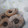 El cooksnap de Claau Alvarez cuando hizo Rosquitas para el mate.