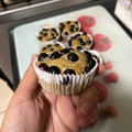 El cooksnap de valentina Urriola Toledo cuando hizo Muffins keto.