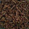 Cooksnap dari Bona Oktavianida untuk resep Sambal goreng tempe ikan teri