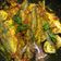 Cooksnap dari Fransisca Faranita untuk resep Ikan selar bumbu kuning