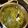 El cooksnap de Ana Alcala cuando hizo Arroz al cilantro.