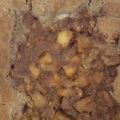 Joseph Green's cooksnap of when they made Peach Cobbler.