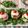 il Caterina Martinelli quando ha preparato Burger di mozzarella con tonno, maionese, pomodoro e basilico