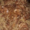صورة من meso abufarah، شاركها بعد تجربة وصفة صيادية الروبيان